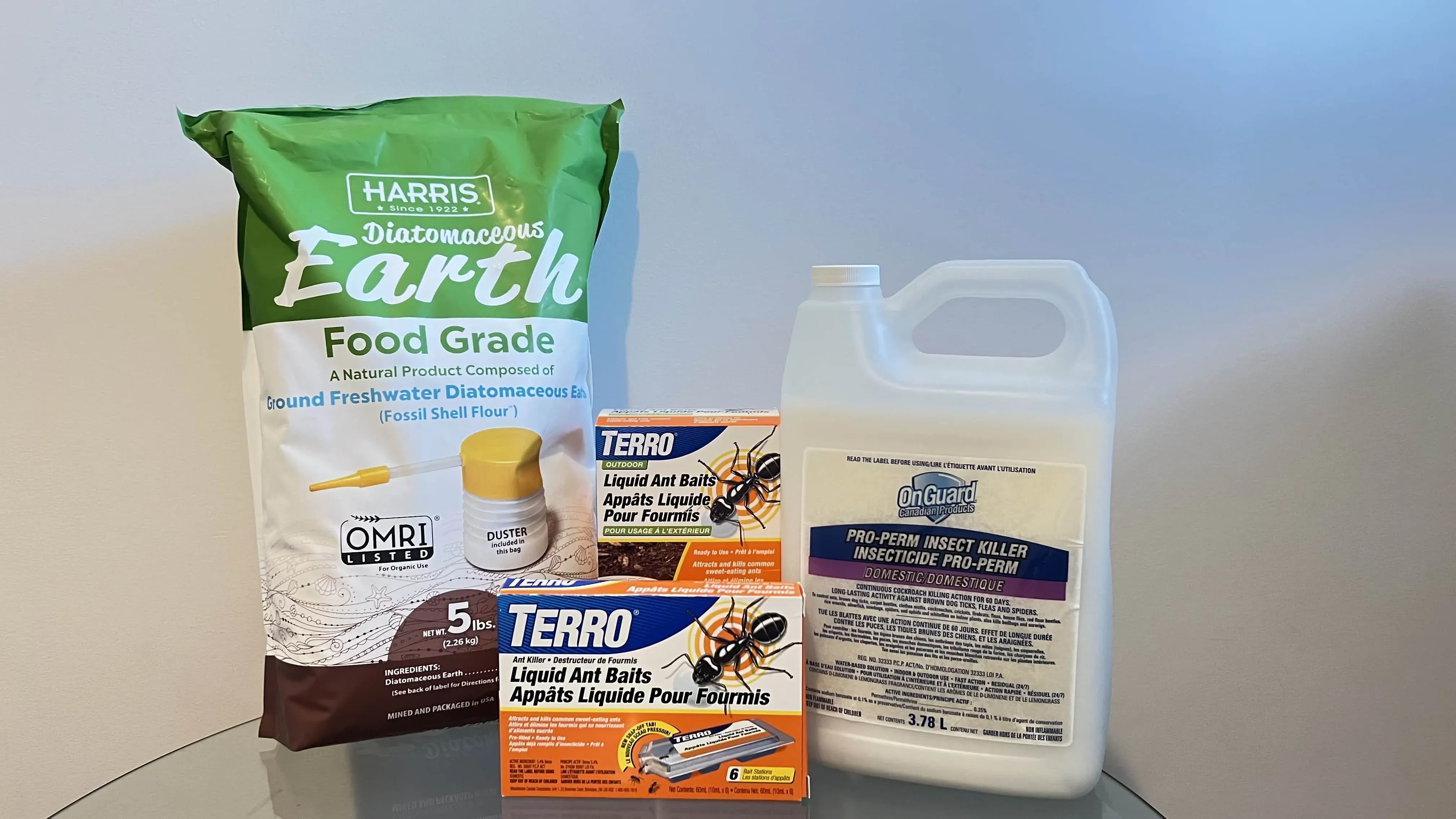 Best Ant Killers
