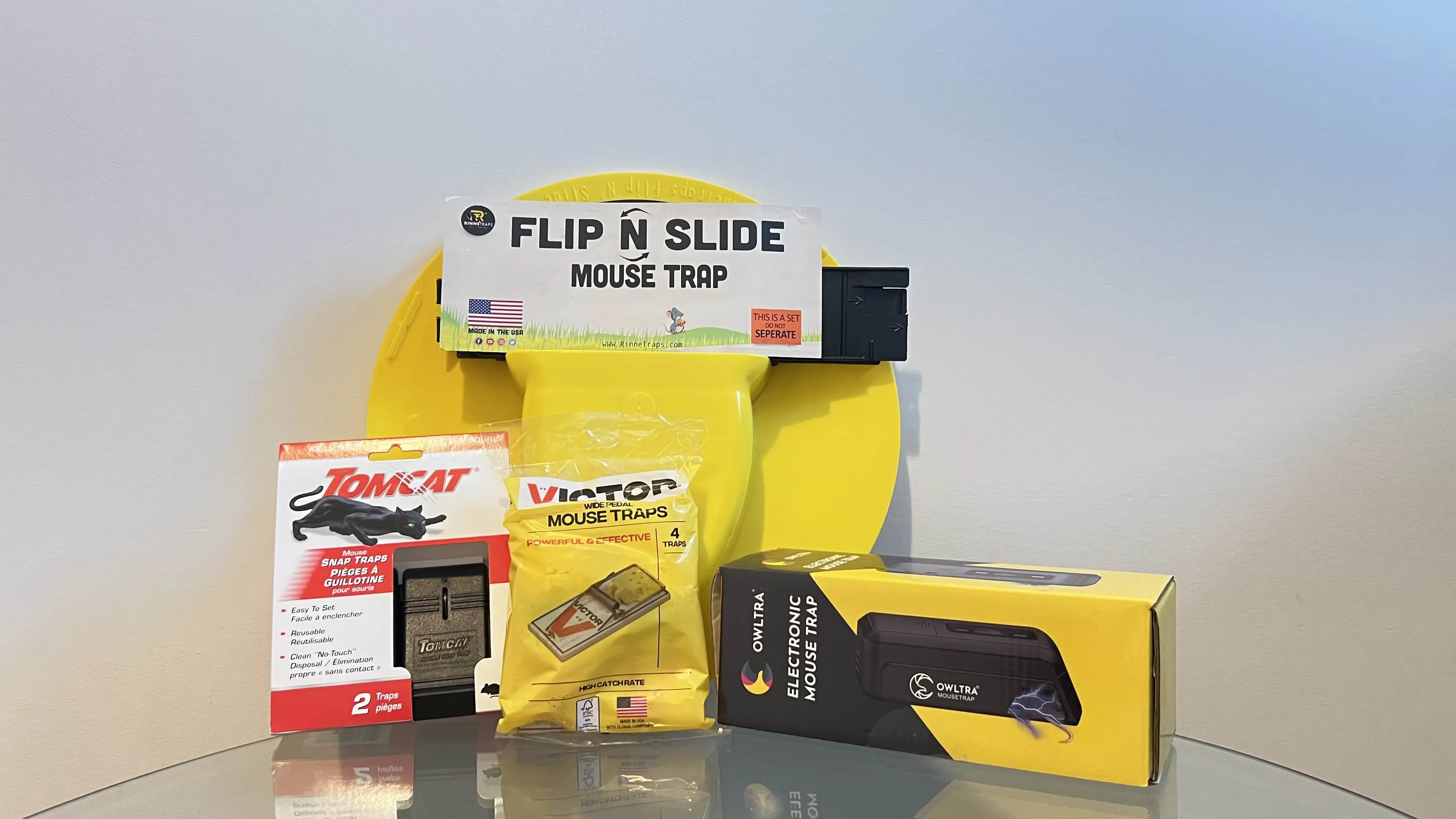 Best Mouse Traps