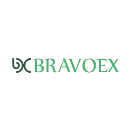 BRAVOEX PEST CONTROL logo