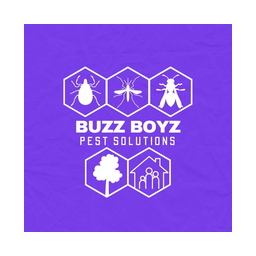 Buzz Boyz Pest Solutions logo