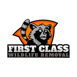 First Class Wildlife Removal logo