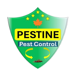 Pestine Pest Control Mississauga logo