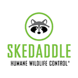 Skedaddle Humane Wildlife Control logo