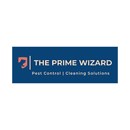 The Prime Wizard logo